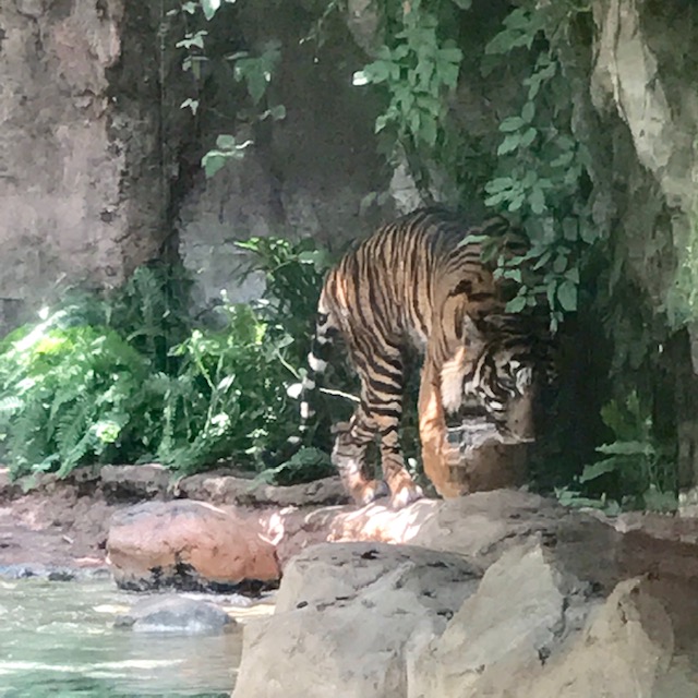 上野動物園